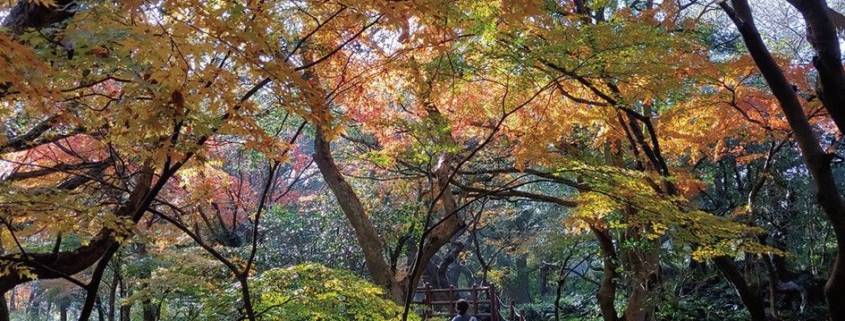 10 Tempat Wisata Tersembunyi Korea Selatan yang Disediakan oleh Korea Tourism Organization