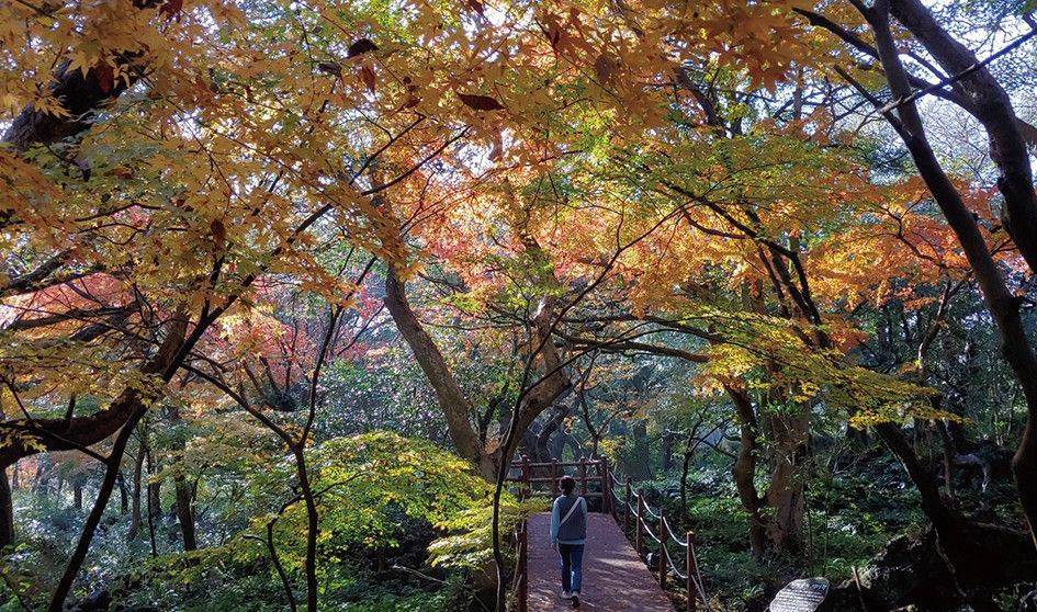 10 Tempat Wisata Tersembunyi Korea Selatan yang Disediakan oleh Korea Tourism Organization