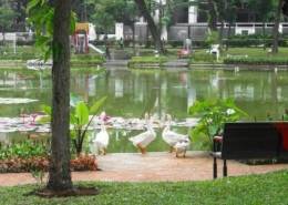 5 Destinasi Healing Jakarta Yang Menyegarkan Mata dan Pikiran