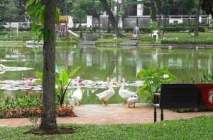 5 Destinasi Healing Jakarta Yang Menyegarkan Mata dan Pikiran