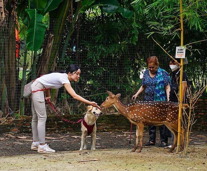 5 Destinasi Healing Jakarta Yang Menyegarkan Mata dan Pikiran 4