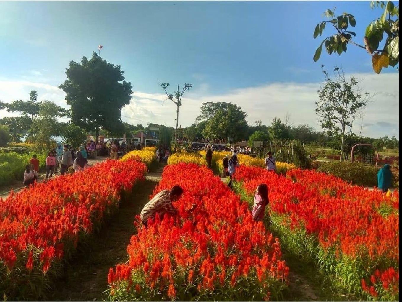 5 Destinasi Terpopuler Pekanbaru Yang Tidak Boleh Dilewatkan 2