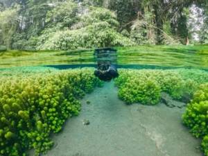 7 Wisata Alam Malang Yang Menakjubkan Liburan Alternatif Udara Sejuk Selain Pantai 6