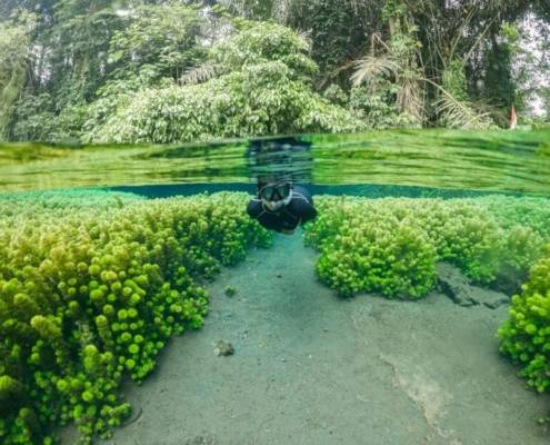 7 Wisata Alam Malang Yang Menakjubkan Liburan Alternatif Udara Sejuk Selain Pantai 6