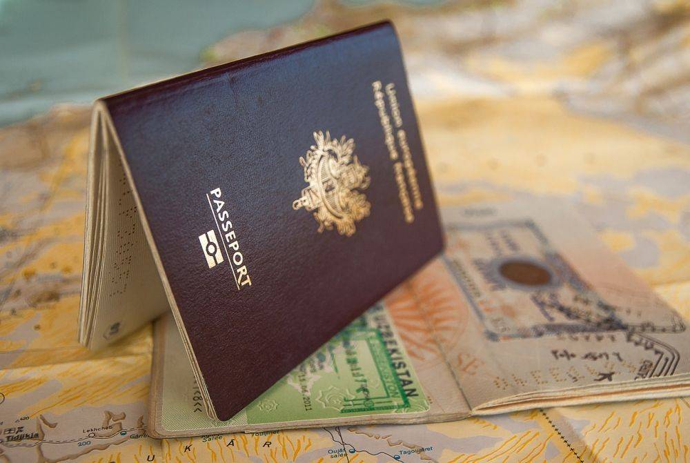4 Jenis Paspor dan Fungsi Praktis dari Tiap Warna yang Tersedia 3