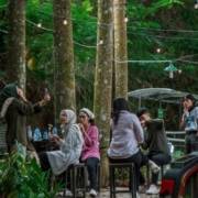 5 Destinasi Nongkrong Bogor dengan Nuansa Alam Estetik yang Instagrammable