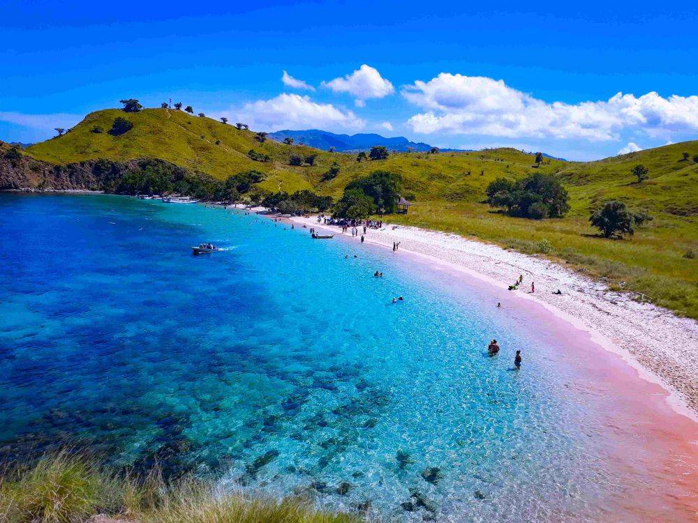 5 Destinasi Wisata Terbaik Pulau Komodo Yang Tidak Boleh Dilewatkan 4