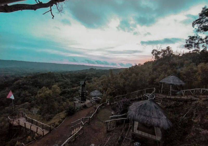 Keindahan 5 Wisata Hutan Pinus Yogyakarta Yang Menenangkan Hati