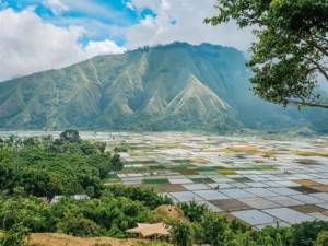 5 Destinasi Wisata Sembalun Lombok Yang Memanjakan Mata 5