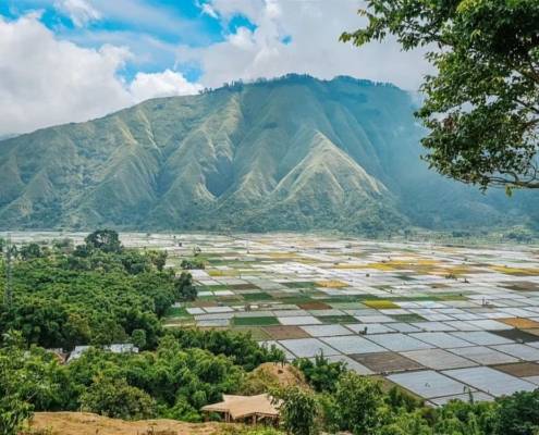 5 Destinasi Wisata Sembalun Lombok Yang Memanjakan Mata 5