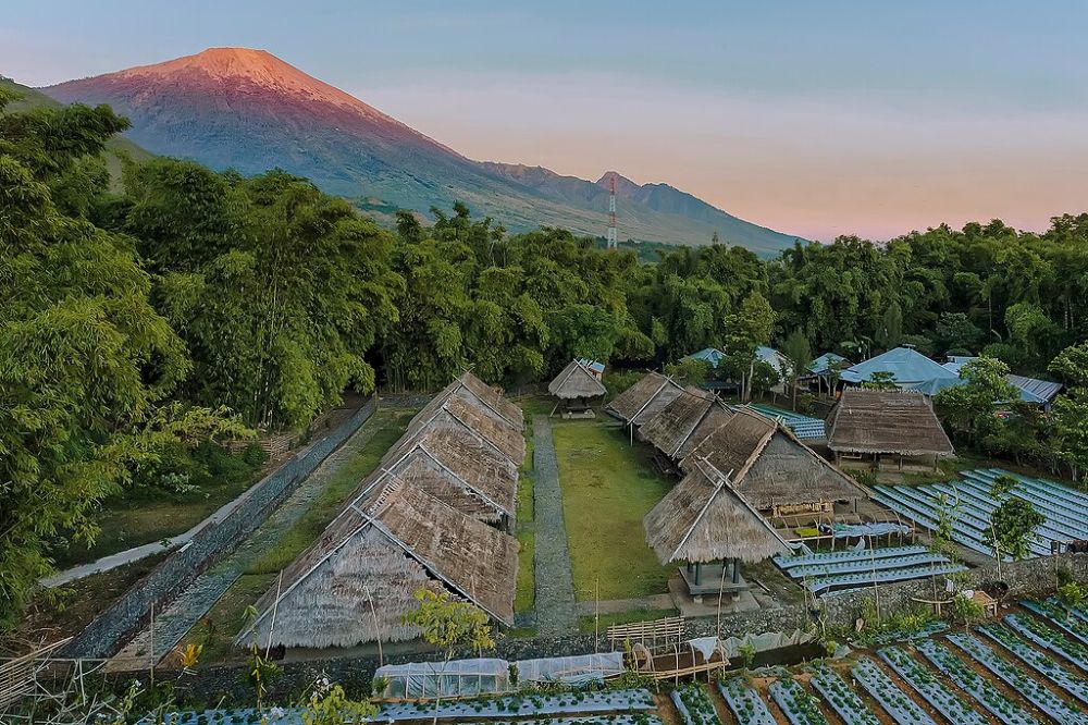 5 Destinasi Wisata Sembalun Lombok Yang Memanjakan Mata