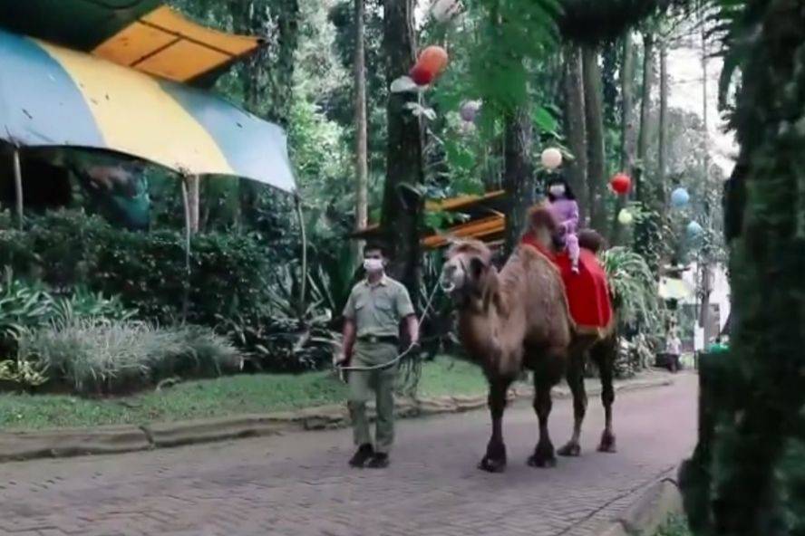 5 Rekomendasi Hotel Bogor Ramah Anak Ada Mini Zoo dan Playground! 3