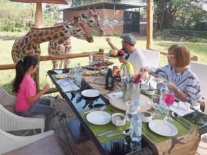 5 Rekomendasi Hotel Bogor Ramah Anak Ada Mini Zoo dan Playground! 4