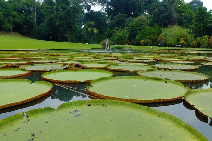 5 Rekomendasi Tempat Piknik Bogor Untuk Menikmati Weekend Tanpa Batasan Budget! 5