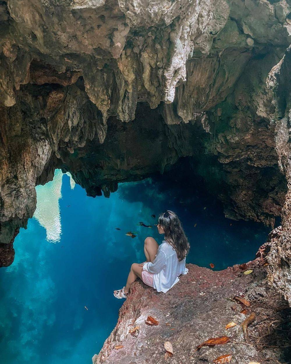 6 Tempat Wisata Kepulauan Derawan Surga Tropis yang Tak Boleh Dilewatkan 2