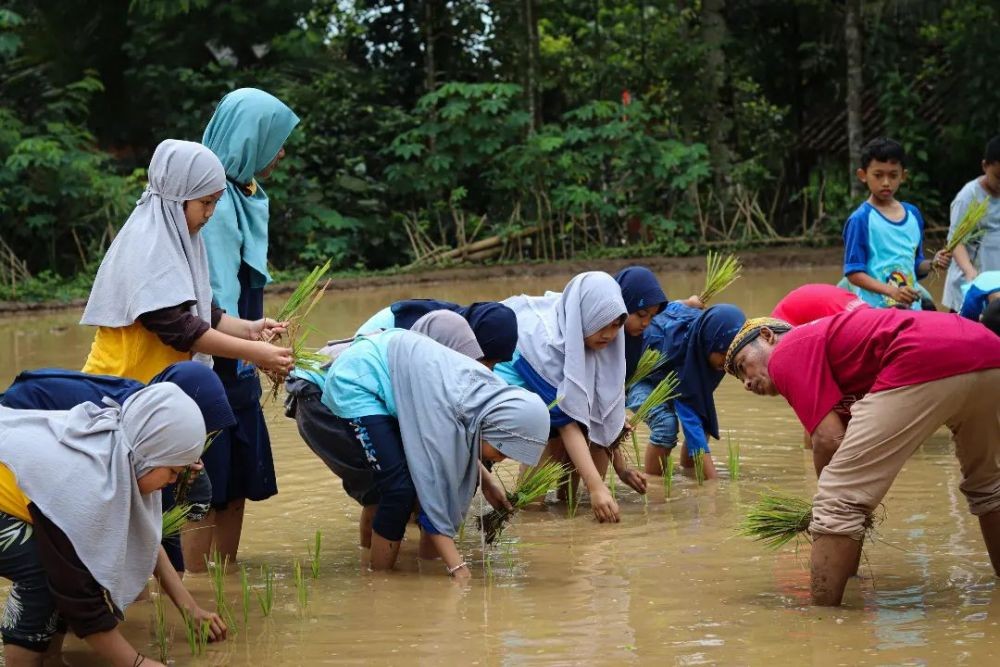 6 Desa Wisata Semarang Terpopuler Liburan yang Menyenangkan dan Memorable 3